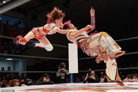 japanese catfight|Professional wrestling in Japan